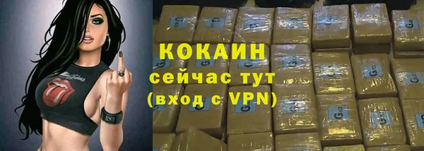 хмурый Гусь-Хрустальный
