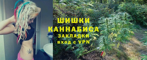 крисы Алзамай