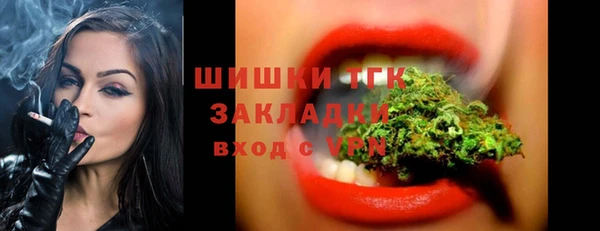 прущие грибы Гусиноозёрск