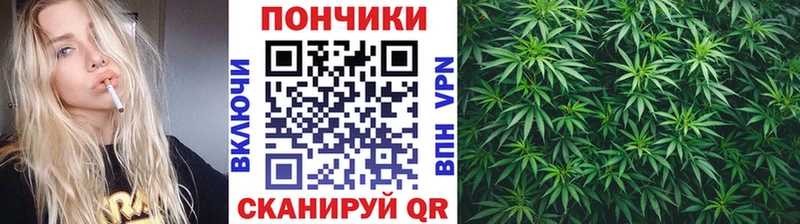 Бошки Шишки MAZAR  где купить   Талдом 